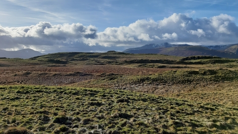 Eycott Hill Nature Reserve 