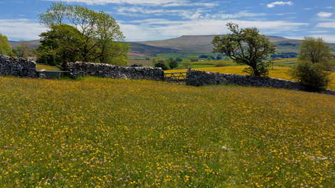 Image of Bowberhead farm and meadows © Cumbria Wildlife Trust