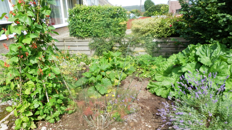 Image of vegetable garden © Dyane Silvester