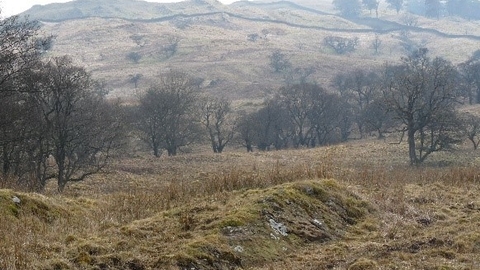 Greyrigg Pike
