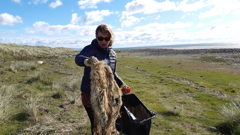 Beach cleaning at Haverigg