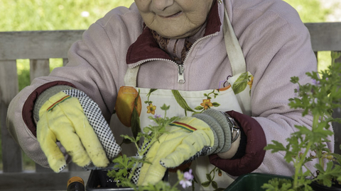 volunteers gardening
