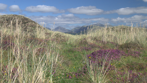 Dunes at Drigg