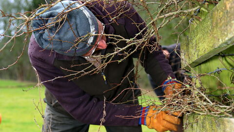 Volunteer David Jackson working at Brown Robin