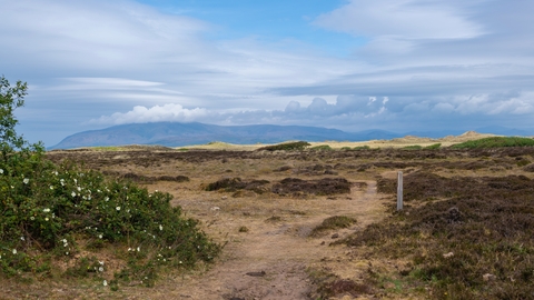 North Walney looking to Black Combe