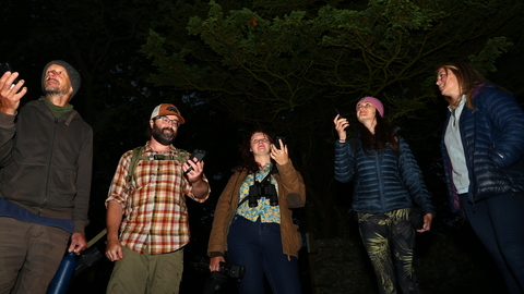 A group of people standing in a dark forest, holding up bat detectors.