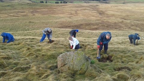 Volunteers at Eycott Hill planting juniper