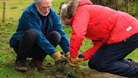 Brown Robin Volunteers