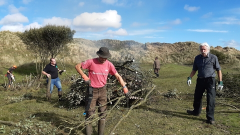 Volunteers clearing scrub at South Walney
