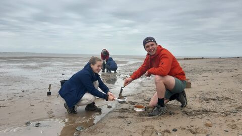Shore search sediment sampling