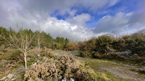 Image of Holme Park Quarry Local Nature Reserve credit Cumbria Wildlife Trust