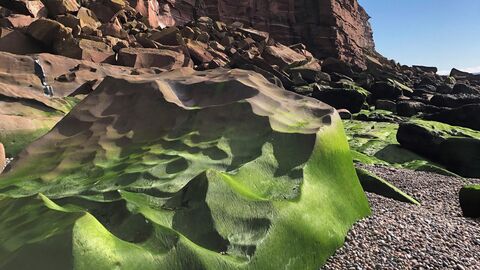 Image of Fleswick Bay from Cumbria Rocks credit Ian Jackson