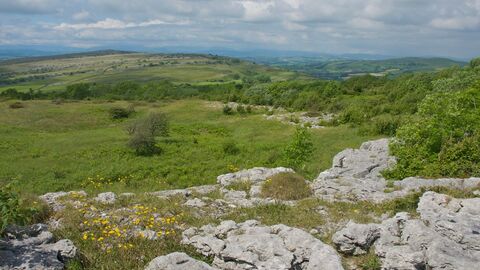 Hutton Roof Crags photo John Morrison (10)-scr.jpg
