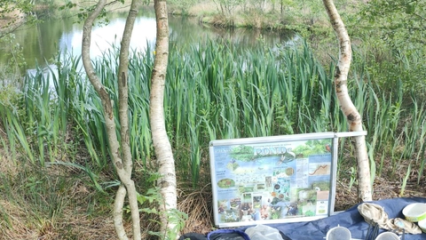 Pond dipping equipment Foulshaw Moss