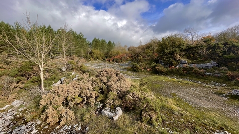 Holme Park Quarry Nature Reserve copyright Pete Jones