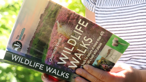 An outdoor shot of a person's hands holding a book called 'Wildlife Walks'. 