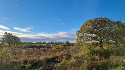Blue sky at Gosling Sike nature reserve and farm land