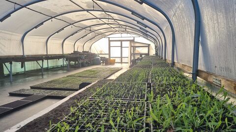 plant nursery at Gosling Sike