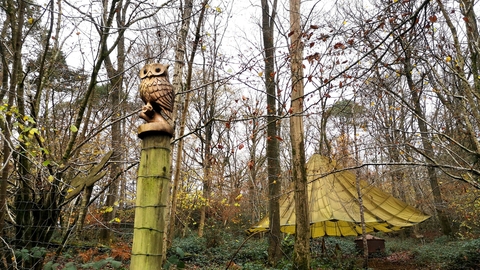 wooden owl totem pole and shelter at brown robin nature reserve