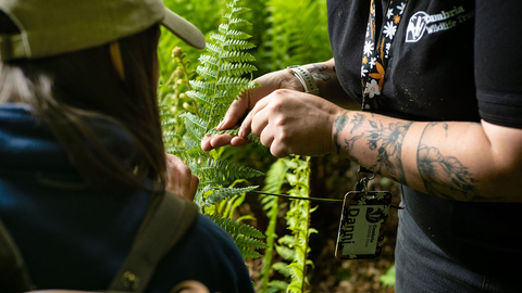 Two people looking at a piece of fern