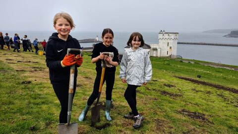 The Big Plant at St Bees