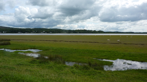 The-Kent-estuary