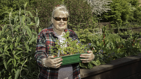 Person holding a tray of plants in a garden