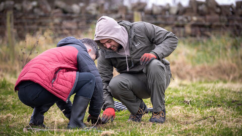 Plug Planting Cumberland Community Day, Penrith, October 2023