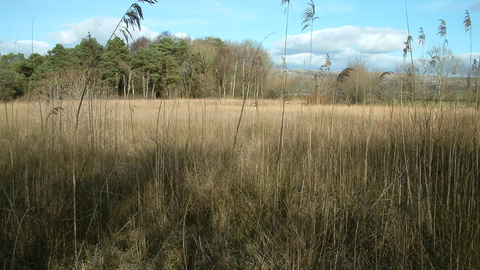 Hale Moss View