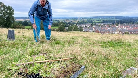 Person planting wildflower plug plants at Cold Springs Community Nature Reserve