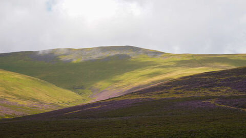 Skiddaw credit Harry Shepherd 