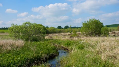 Photo of river in the middle of a field with long grass. The sky is blue