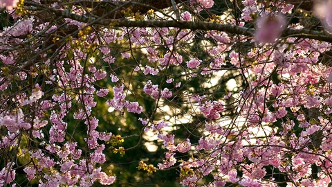 time in nature