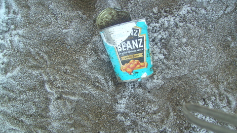 Frozen empty beans can