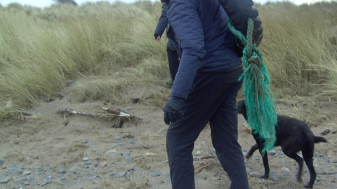 Large old tyre being removed from the beach