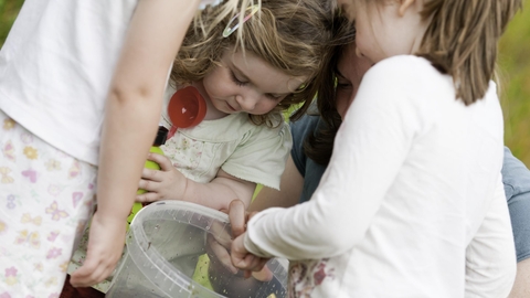 Children, and mothers, pond dipping and enjoying pond environment at Little Bradley Ponds, Bovey Tracy, Devon, UK. June 2011. (Model released). © Ross Hoddinott/2020VISION