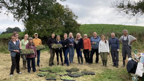 Group of adults standing in a field with wildflower plants for planting