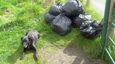 Black bags piled up awaiting a trip to the recycling station