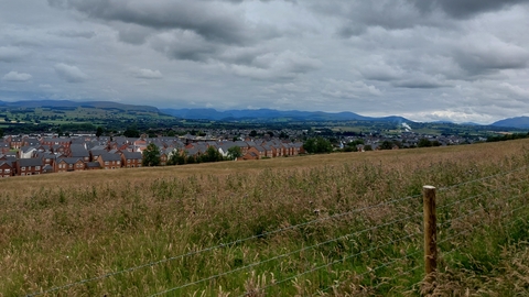 Image of Cold Springs Community Nature Reserve with houses in background