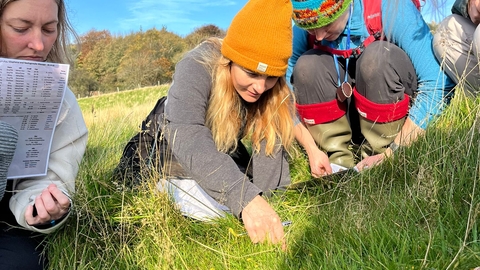 Image of Ami Stidolph with people looking in the grass at Cold Springs fungi survey