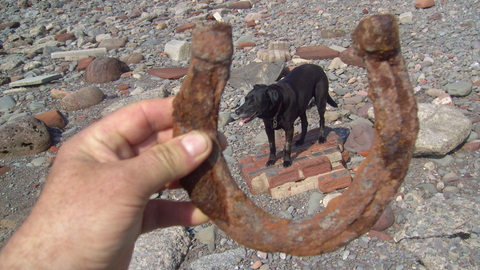 Discarded horseshoe