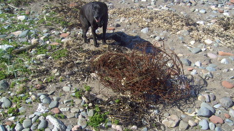 Rusty mesh wire used for a gambion