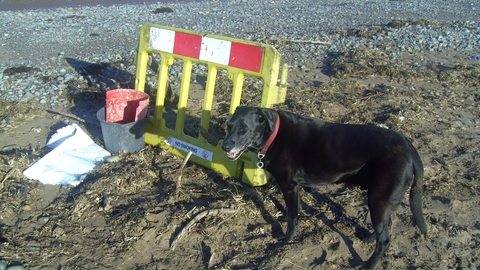 Large plastic crash barrier and other items