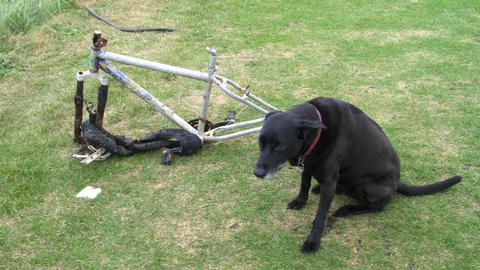 Broken bike found on the beach