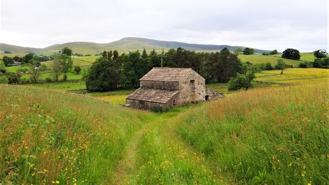 Bowber Head Nature Reserve