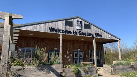 The front of a single-storey wooden clad building saying Welcome to Gosling Sike.  Long stemmed teasel is in the corner.