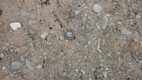 Debris on Mawbray beach