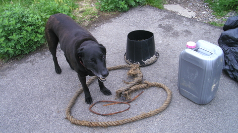 Spoils from another successful beach clean