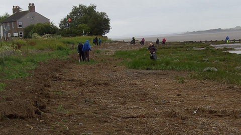 Volunteers collecting rubbish from the beach