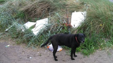 Various fly tipped rubbish